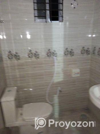 3 Bed, Bath, New Ready Apartment For Rent