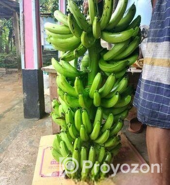 সার মুক্ত সাগর কলা
