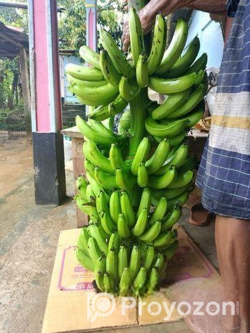 সার মুক্ত সাগর কলা