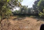জরুরী বিক্রয় – ময়মনসিংহ শহরে ২০.৫ শতক জমি