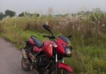 Bajaj Pulsar 150 . 2010