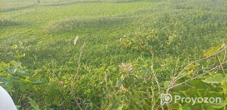 জমি বিক্রয় বিজ্ঞপ্তি