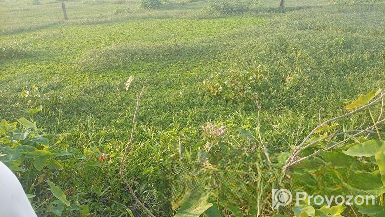 জমি বিক্রয় বিজ্ঞপ্তি