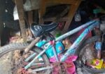 Bicycle for sale