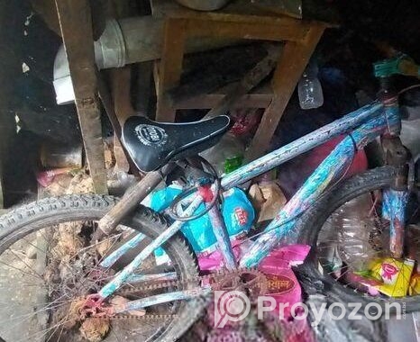 Bicycle for sale