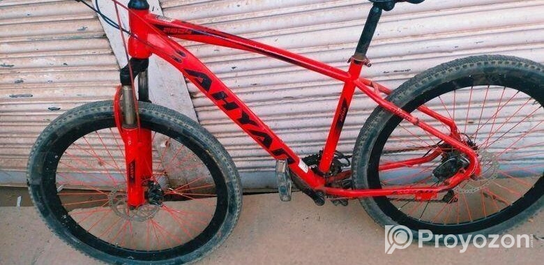 Bicycle For Sell