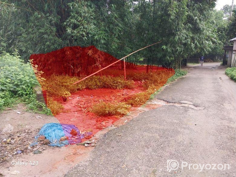 ঠাকুরগাঁও পৌরসভা পাকা রাস্তার পার্শ্বে 4.38 শতক জম