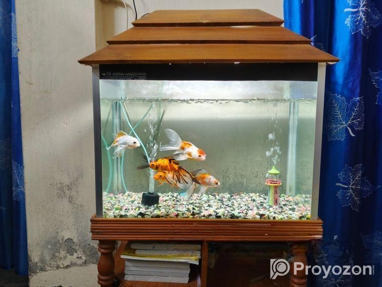 Aquarium full set