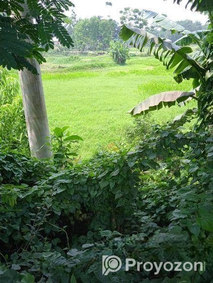 মিরেরবাজার টু সিলেট মহাসড়কে ৪৫ শতাংশ জমি বিক্রি হবে