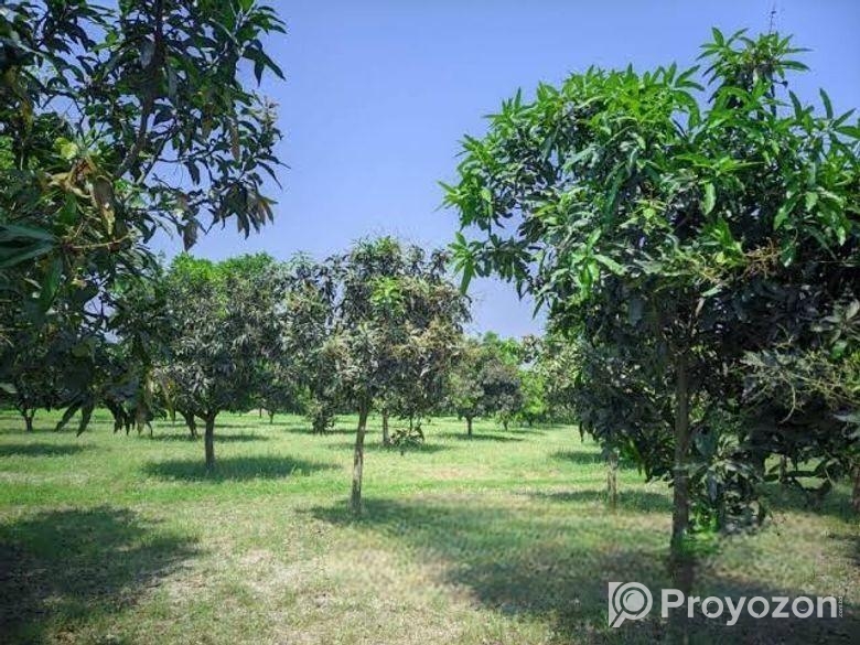 বাগান লিজ দেয়া হবে।