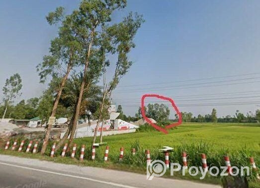 সাতমাতা থেকে কুড়িগ্রাম রোডে ডলফিন হ্যাচারির পাশে,