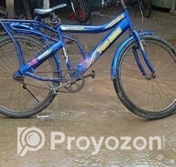 fitted-12_2025-09-22_09-56-51