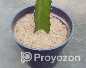 fitted-12_2025-09-23_10-34-56