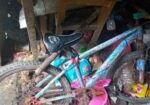 Bicycle for sale