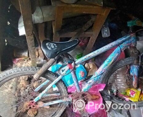 Bicycle for sale