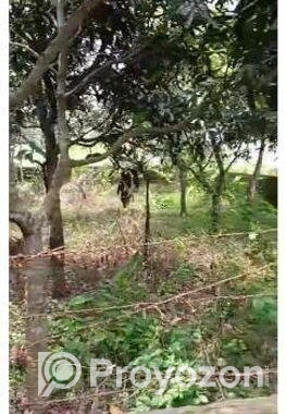 জমি বিক্রি