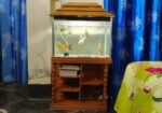 Aquarium full set