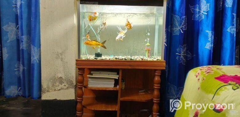 Aquarium full set