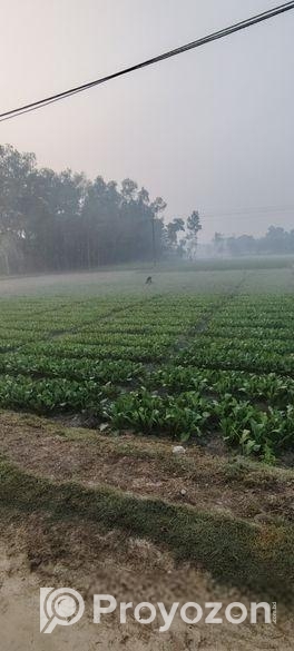 Rent agricultural land for firming/ mini warehouse/ others