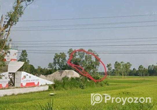 সাতমাতা থেকে কুড়িগ্রাম রোডে ডলফিন হ্যাচারির পাশে,