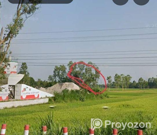 সাতমাতা থেকে কুড়িগ্রাম রোডে ডলফিন হ্যাচারির পাশে,