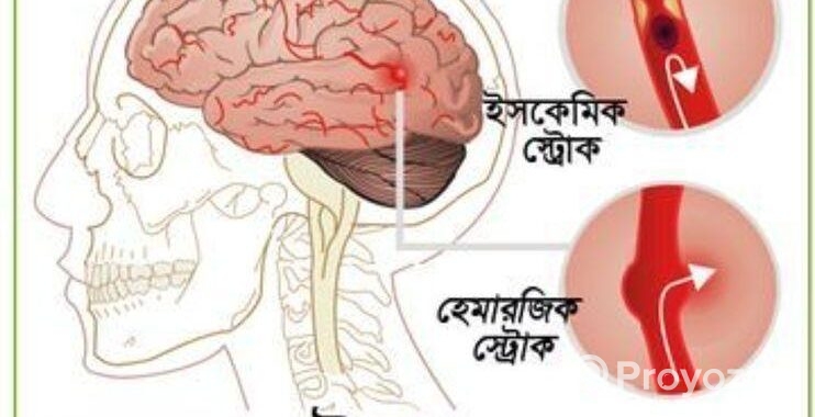 ডাক্তার/ফিজিওথেরাপি