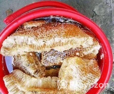 খাঁটি বড়ই এর মধু