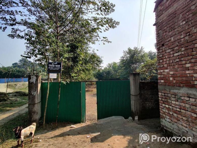 জরুরী বিক্রয় – ময়মনসিংহ শহরে ২০.৫ শতক জমি