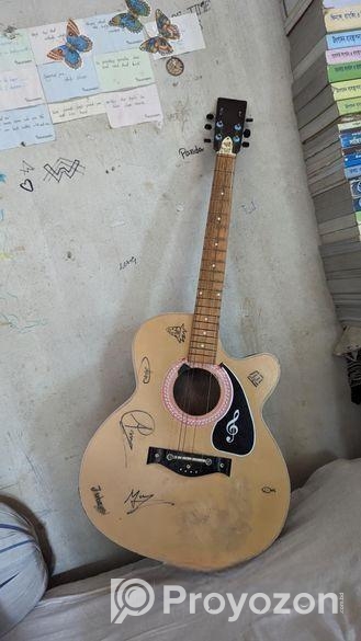 Givson Guitar Made In India