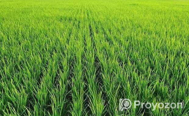 জমি বিক্রয় করা হবে