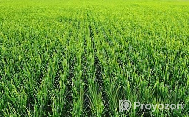 জমি বিক্রয় করা হবে