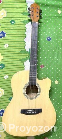 Deviser guitar sell