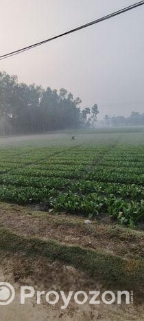 Rent agricultural land for firming/ mini warehouse/ others