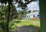 House For Sale with Land! বাড়ি বিক্রি হবে জমির সাথে!