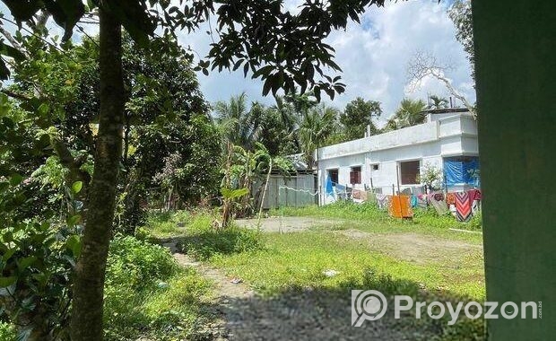 House For Sale with Land! বাড়ি বিক্রি হবে জমির সাথে!