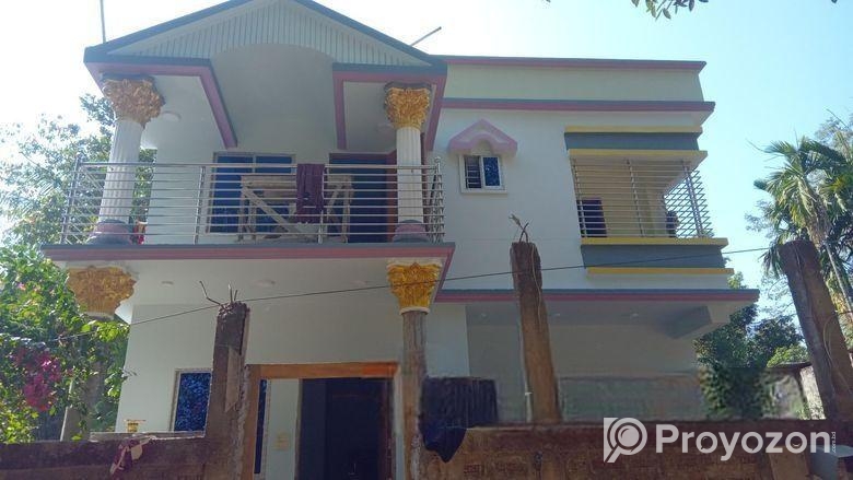 দক্ষ পেইন্টার দ্বারা রং করে তাকি