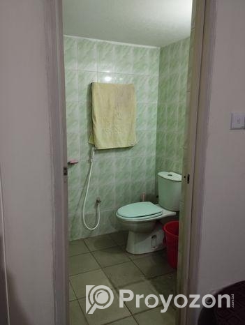 Full Furnished Ac Apt@ Mirpur 10