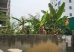 উত্তরায় DPS School সংলগ্ন Lake Side বাউন্ডারি করা