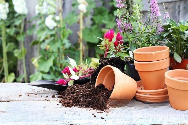 পট সয়েল ৫ কেজি প্যাক