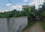 ৫ কাঠা জমি বিক্রি – @bosila @mohammadpur মুন সিটি
