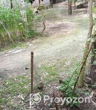 মেইন রোড এর সাথে ৮.৫ শতক জমি বিক্রি হবে