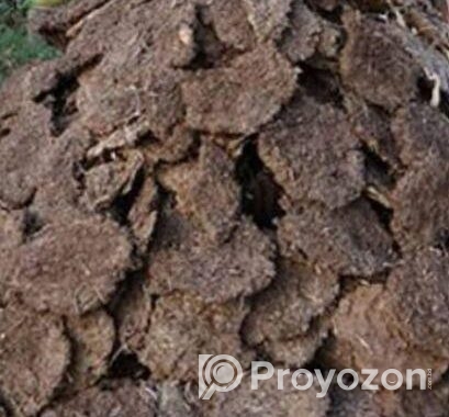 শুকনো গোবর গুঁড়া ৪০ কেজি বস্তা
