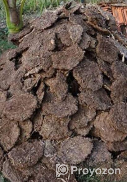 শুকনো গোবর গুঁড়া ৪০ কেজি বস্তা