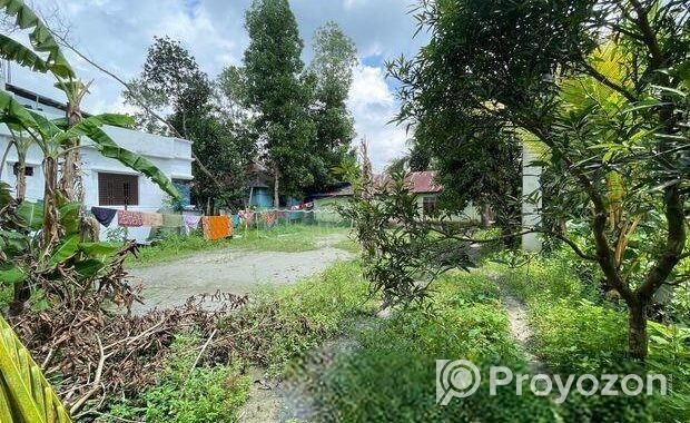 House For Sale with Land! বাড়ি বিক্রি হবে জমির সাথে!