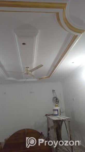 দক্ষ পেইন্টার দ্বারা রং করে তাকি