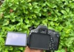 Canon ESO 600 D