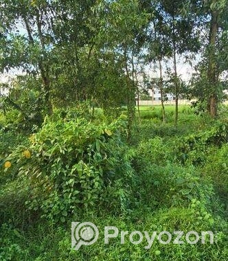 ঢাকা চট্টগ্রাম হাইওয়ের সাথে জায়গা বিক্রি