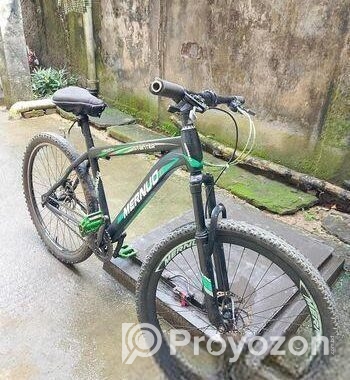 Bicycle for sale