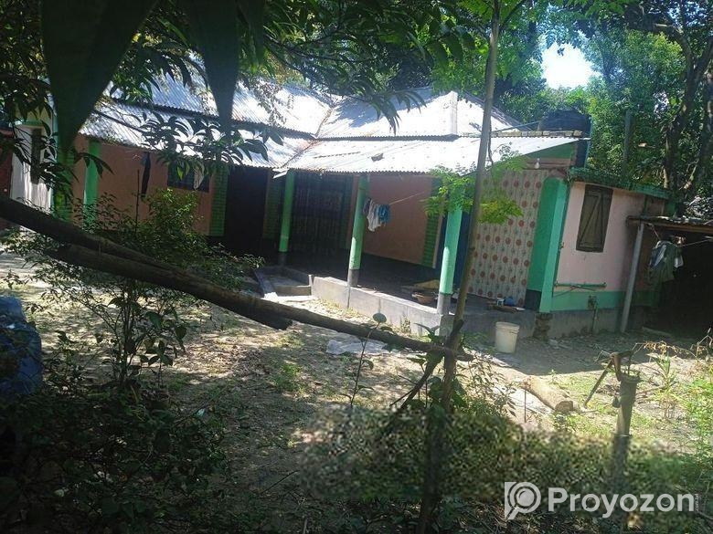 তিন রুম বিশিষ্ট অ্যাটাস্ট বাথরুম কিচেন সাপ্লাই বিদ্যুৎসহ বাইরে বা