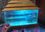 Aquarium for sale